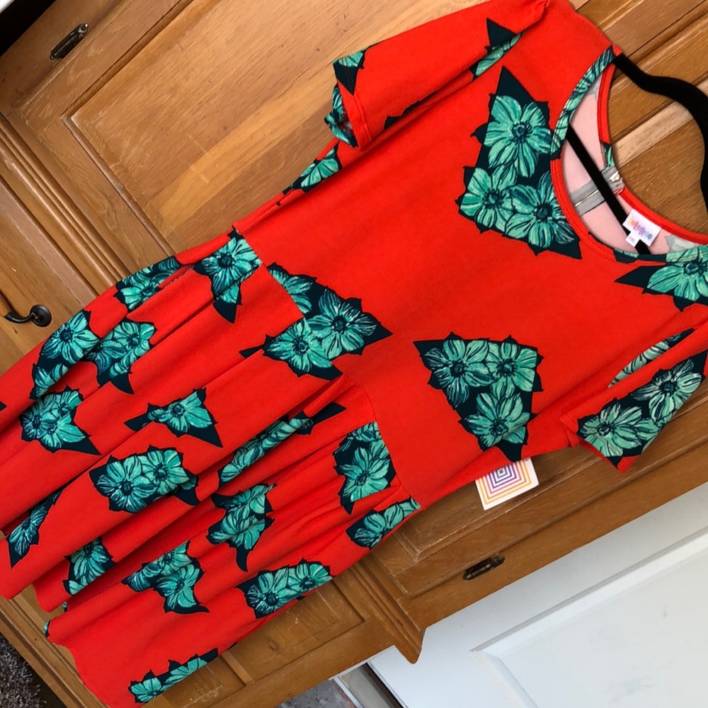 LuLaRoe Amelia Dress